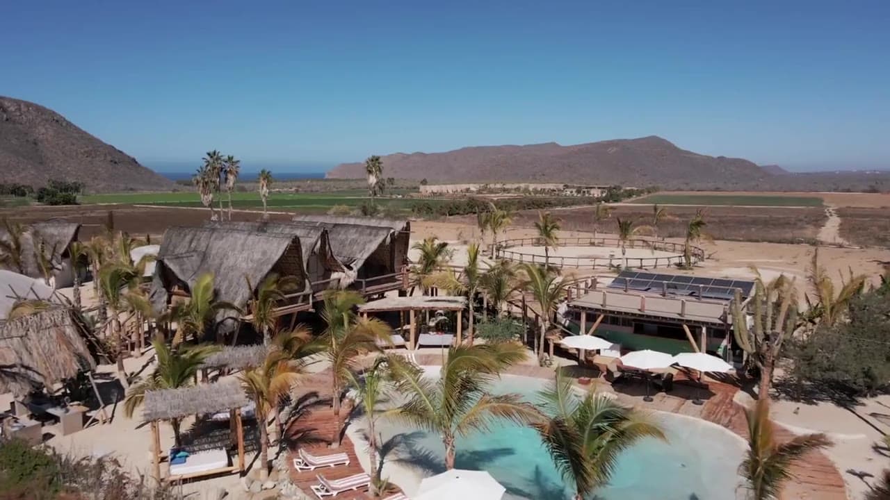 Hotel Damara — the peaked treehouse roofs against a pale Baja sky