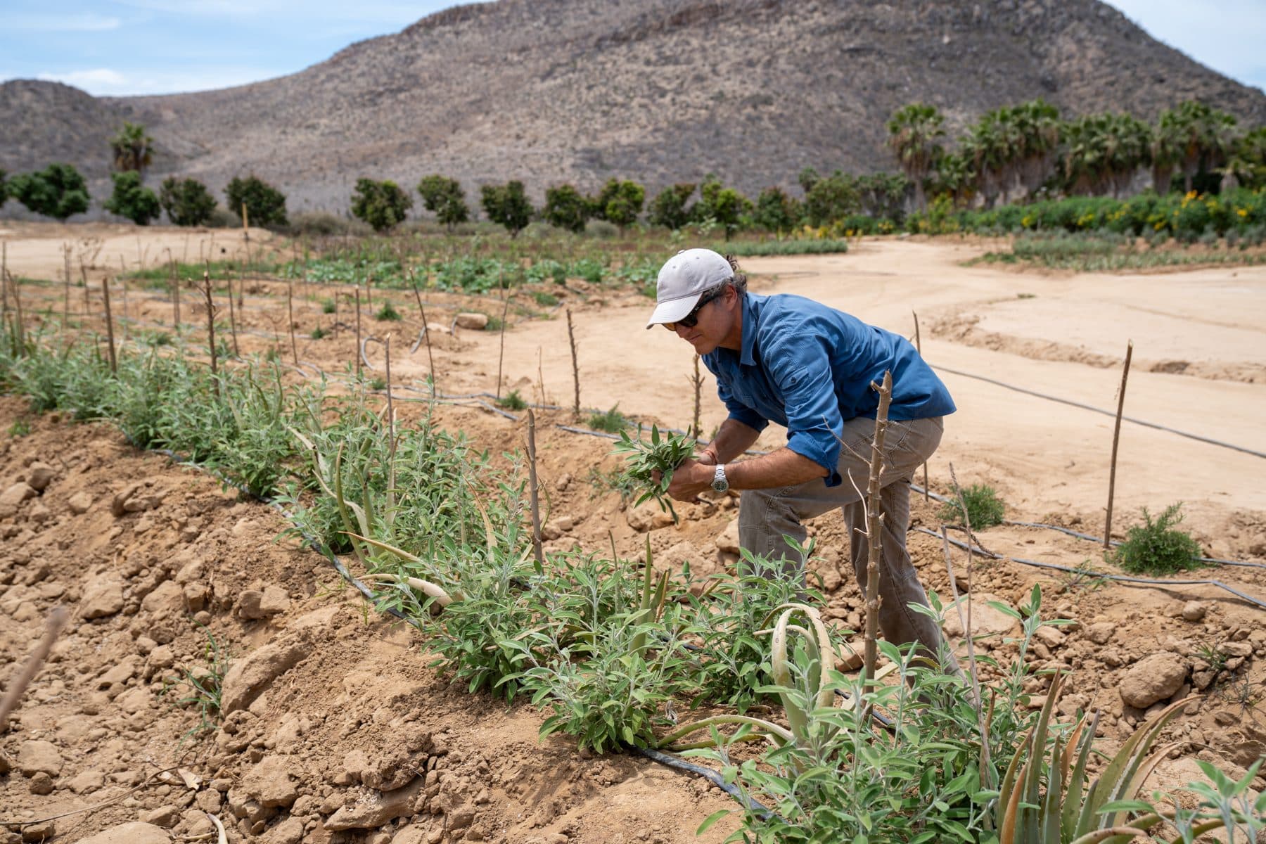Tending the biodynamic farm beds at Casa Damara